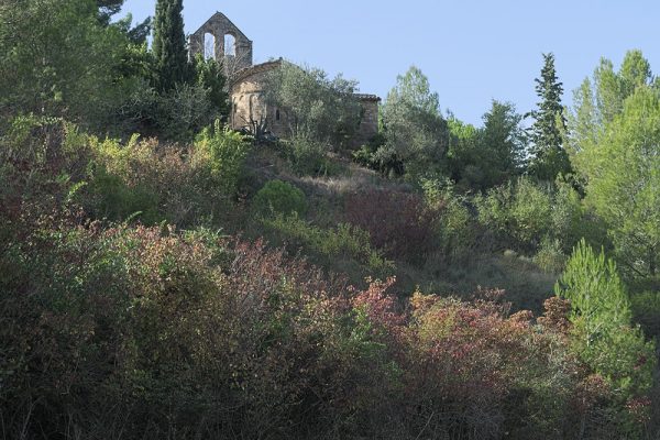 Sant Pere de Vallhonesta