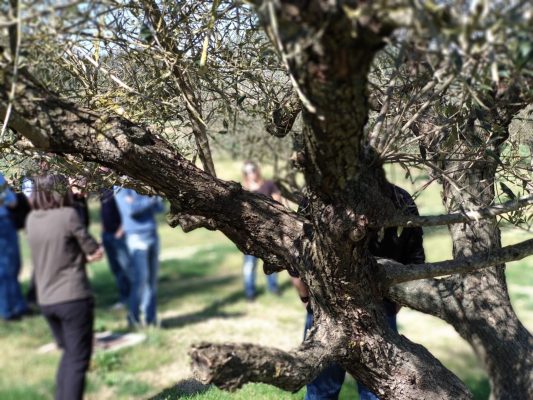 Entorn Sant Benet de Bages