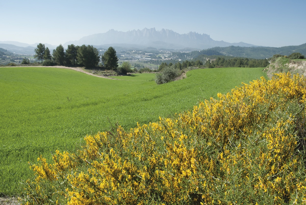 L'Anella Verda de Manresa
