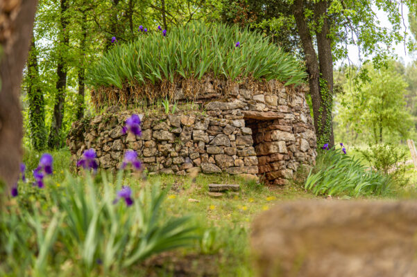 Barraca de pedra seca amb lliris