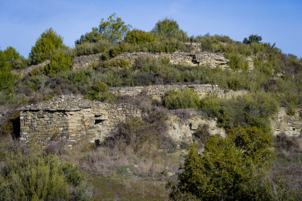 monistrol_calders-1839