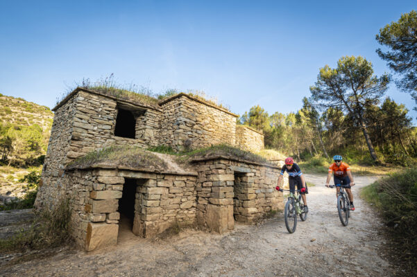 Tines de solanes pedra seca