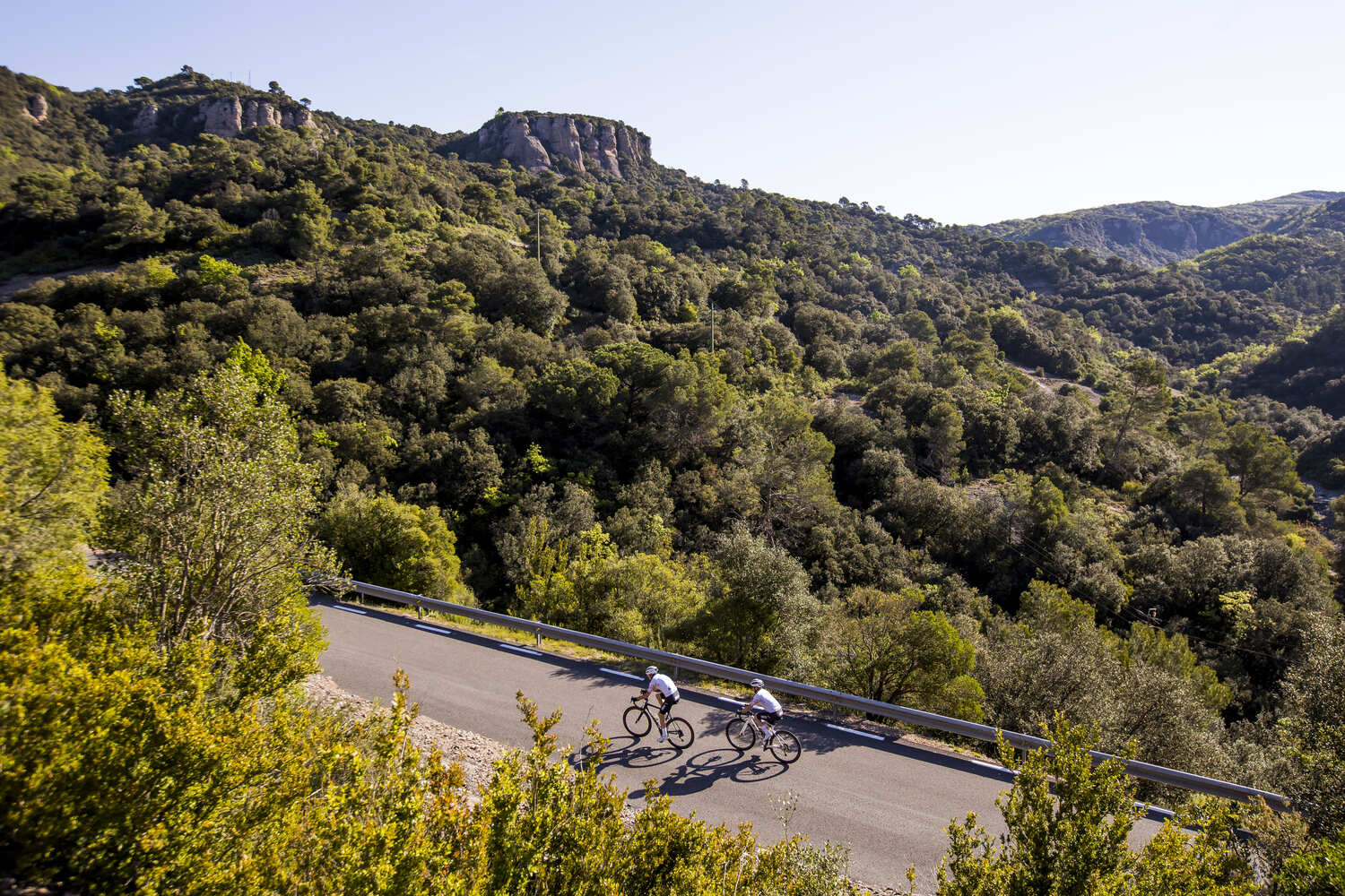 Estenalles_I4A7403 (2) (1)